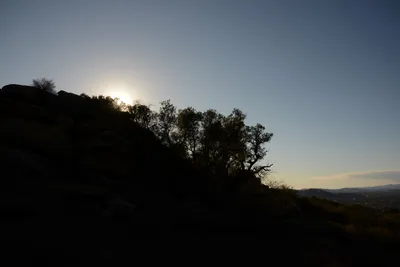 DSC_5543 (Large).JPG